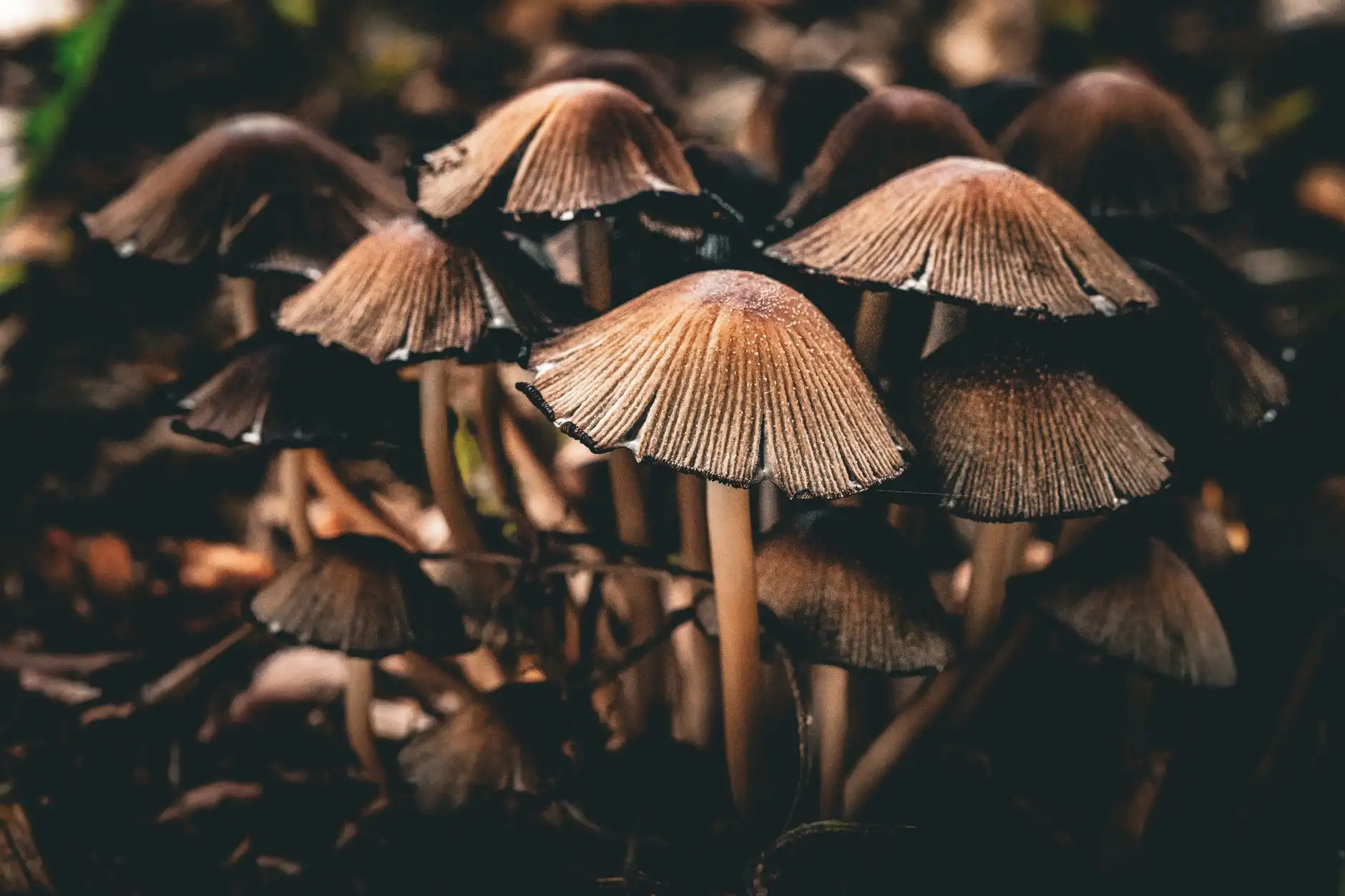 长三角地区装修维修场景中钳子与锤子的耐用性对比分析