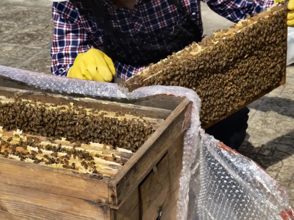 长三角手动工具市场趋势：钳子与锤子的耐用性技术升级
